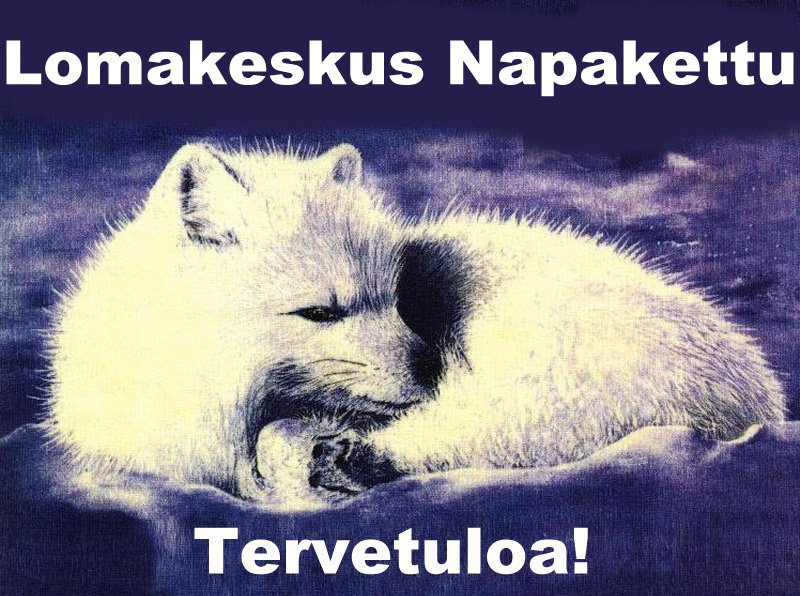 Napsauta hiirell� napaketun kuvaa tai k�yt� vasemmalla n�kyv�� valikkoa p��st�ksesi katselemaan Napaketun sivuja.